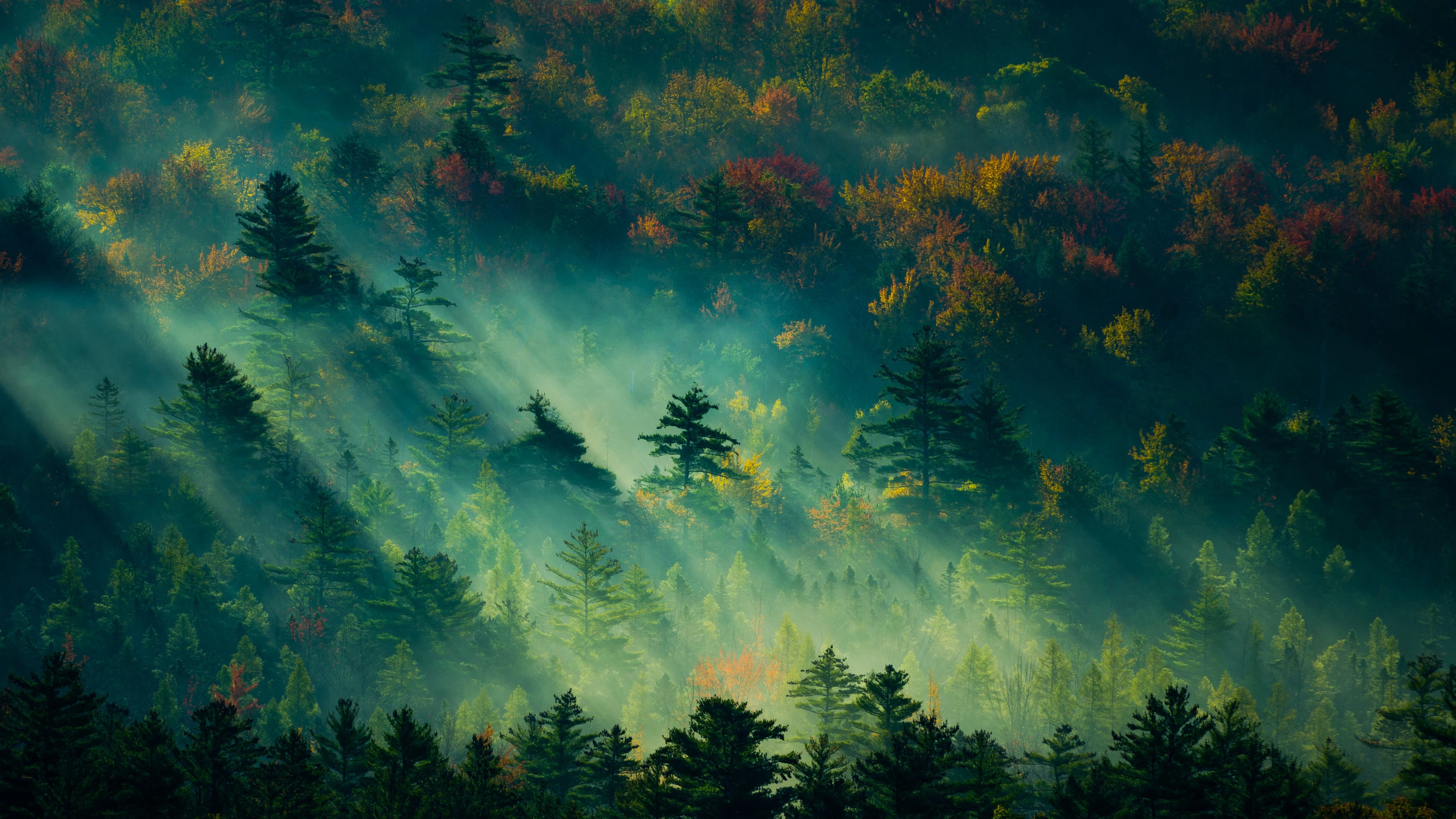 Wallpaper Preview