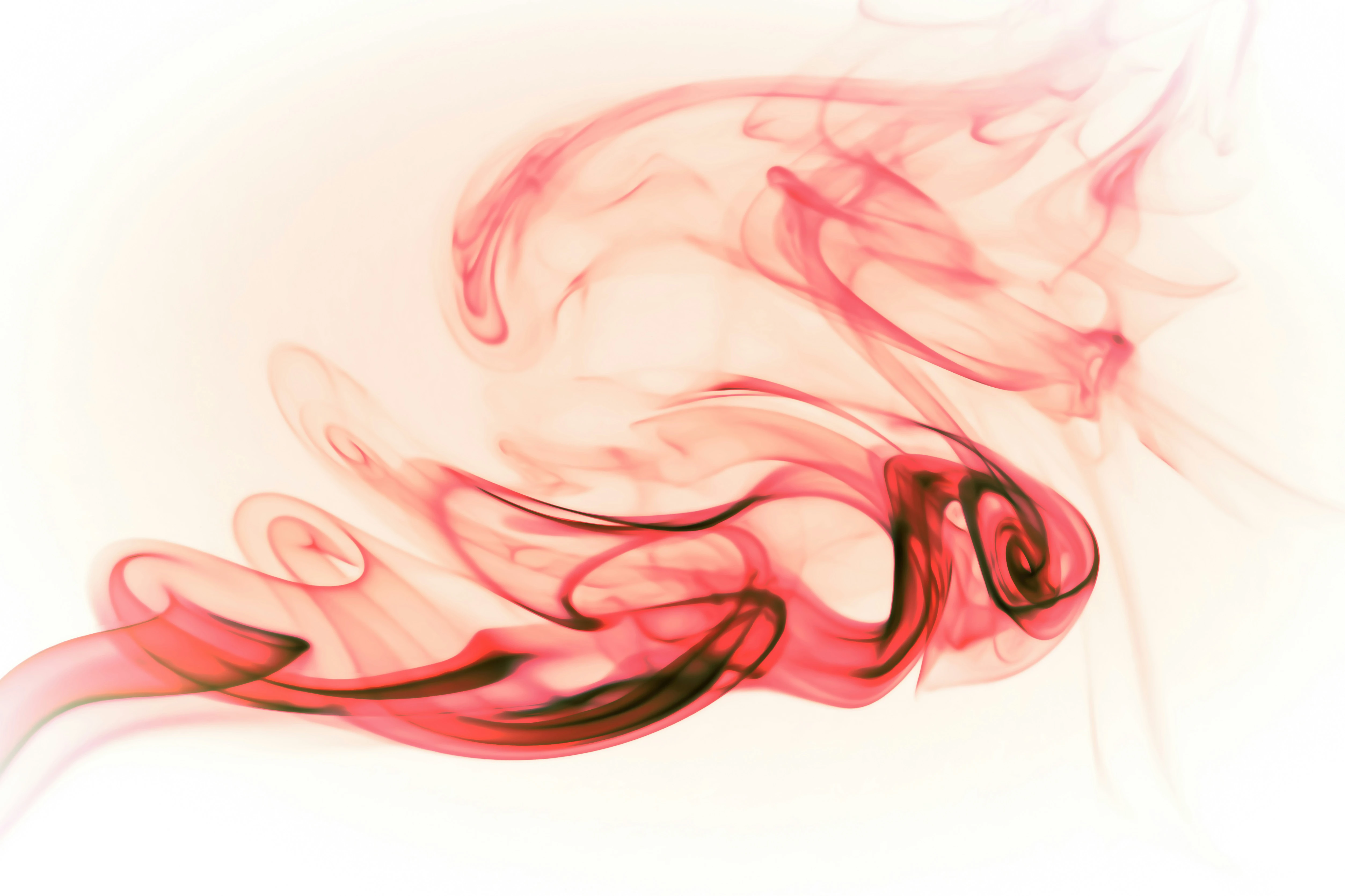 Wallpaper Preview