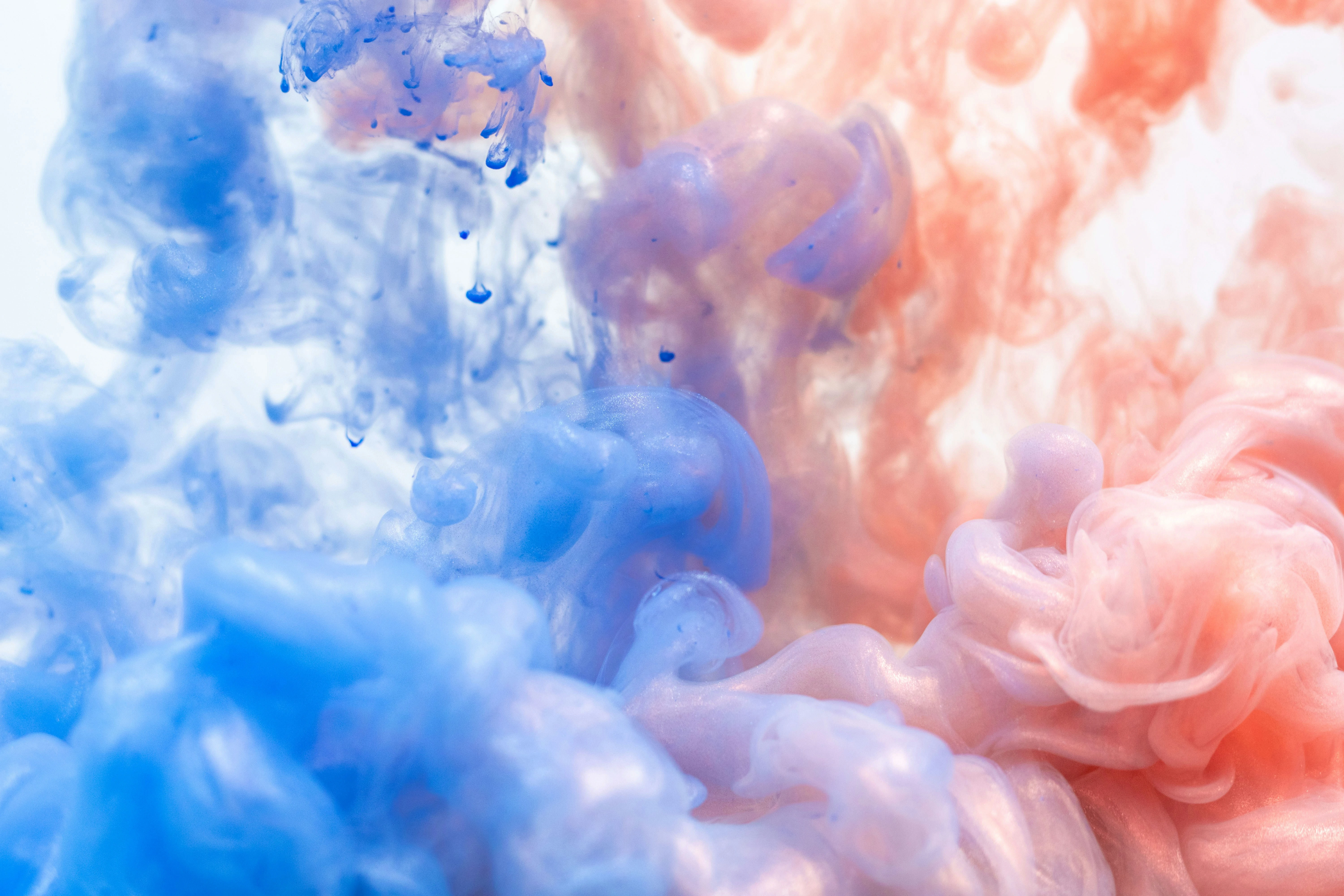 Wallpaper Preview